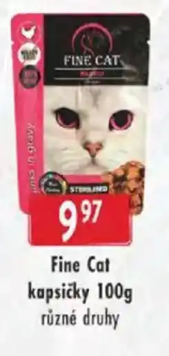 Astur&Qanto Fine Cat kapsičky nabídka