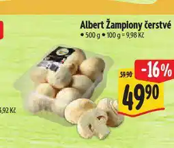Albert Žampiony čerstvé nabídka