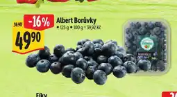 Albert Borůvky nabídka