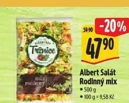 Albert Salát rodinný mix nabídka