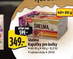 Albert Shelma kapsičky pro kočky nabídka