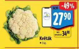 Albert Květák nabídka