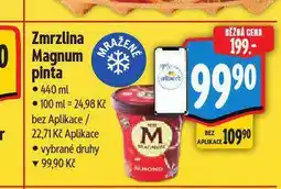 Albert Zmrzlina magnum nabídka