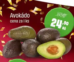 BonVeno Avokádo nabídka