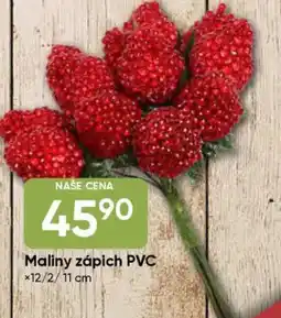 Hruška Maliny zápich PVC nabídka