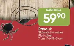 Hruška Pavouk nabídka