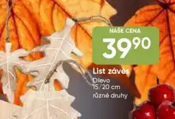 Hruška List závěs Dřevo nabídka