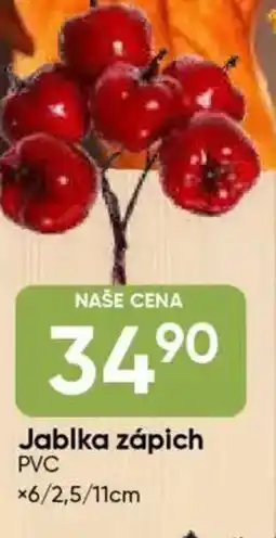 Hruška Jablka zápich PVC nabídka
