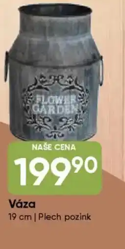 Hruška Váza nabídka