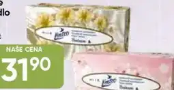 Hruška Hygienické papírové kapesníky nabídka