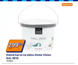 Action Matná barva na stěnu Home Vision RAL 9010 nabídka