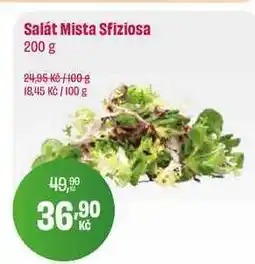 BonVeno Salát Mista Sfiziosa 200 g nabídka