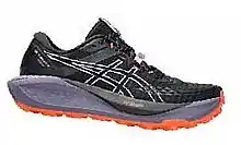 Intersport Dámské běžecké boty GEL-Trabuco 13 GTX nabídka