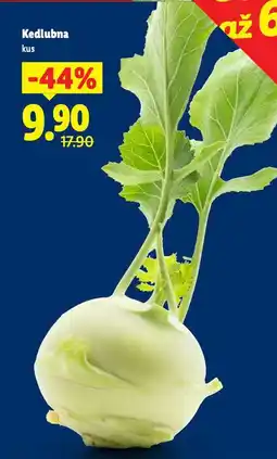 Lidl Kedlubna nabídka