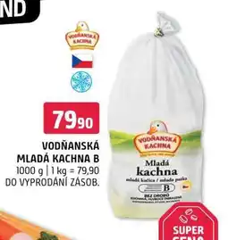 Terno VODŇANSKÁ MLADÁ KACHNA B nabídka