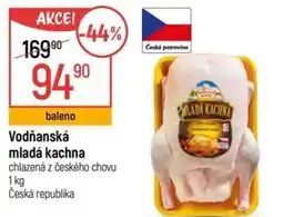 Globus Vodňanská mladá kachna nabídka
