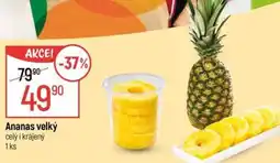 Globus Ananas velký nabídka