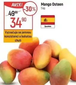 Globus Mango Osteen nabídka