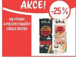 Globus Na vývary a polévky značky cibule Bistro nabídka