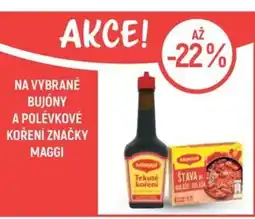 Globus Na vybrané bujóny a polévkové koření značky Maggi nabídka