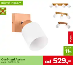 Asko Osvětlení assam nabídka