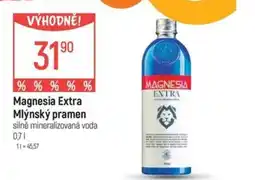 Globus Magnesia Extra Mlýnský pramen nabídka