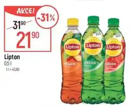 Globus LIPTON nabídka