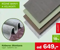 Asko Koberec montana nabídka