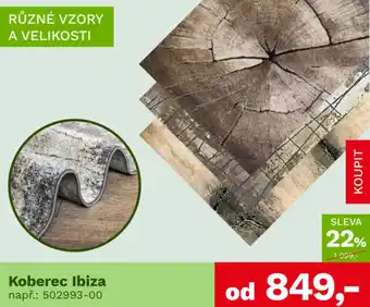 Asko Koberec ibiza nabídka
