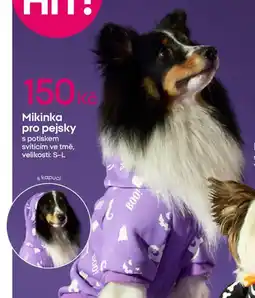 Pepco Mikinka pro pejsky nabídka