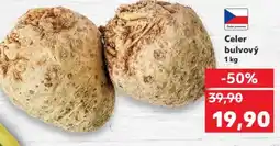 Kaufland Celer bulvový nabídka