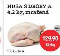 RABBIT řeznictví HUSA S DROBY A 4,2 kg, mražená cena za 1kg nabídka