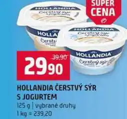 Terno HOLLANDIA ČERSTVÝ SÝR S JOGURTEM 125 g nabídka