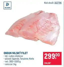 Makro Okoun nilský filet nabídka
