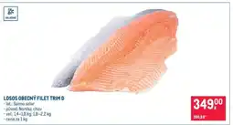 Makro Losos obecný filet trim D nabídka