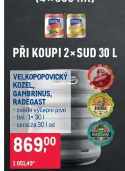 Makro VELKOPOPOVICKÝ KOZEL, GAMBRINUS, RADEGAST nabídka
