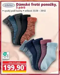 Norma Dámské froté ponožky, 5 párů nabídka