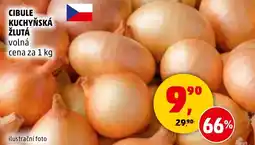 Penny Market Cibule kuchyňská žlutá volná nabídka