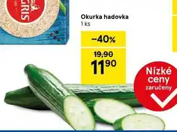Tesco Okurka hadovka nabídka