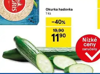 Tesco Okurka hadovka nabídka