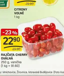 Flop RAJČATA CHERRY OVÁLNÁ 250 g, vanička nabídka