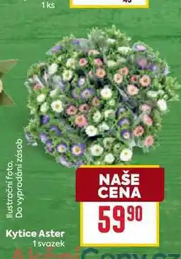 Billa Kytice Aster 1 svazek nabídka