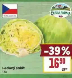 Billa Ledový salát nabídka