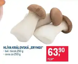 Makro HLÍVA KRÁLOVSKÁ „ERYNGII“ nabídka