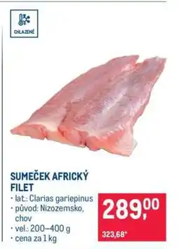 Makro Sumeček africký filet nabídka