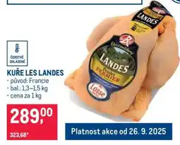 Makro KUŘE LES LANDES nabídka
