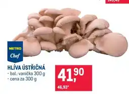Makro Hlíva ústřičná nabídka