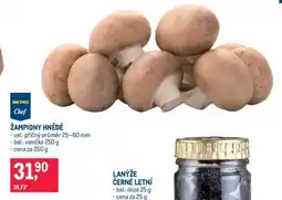 Makro ŽAMPIONY HNĚDÉ nabídka
