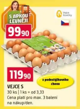 Terno Vejce S nabídka