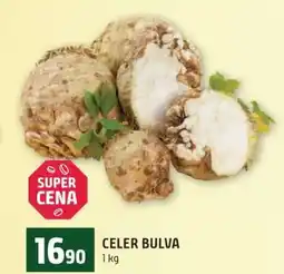 Terno Celer bulva nabídka